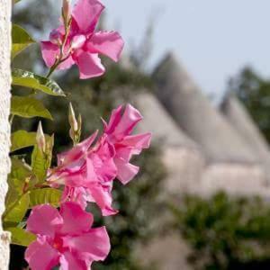 Suite Trullo di Olimpia Selva Di Fasano Esterno foto